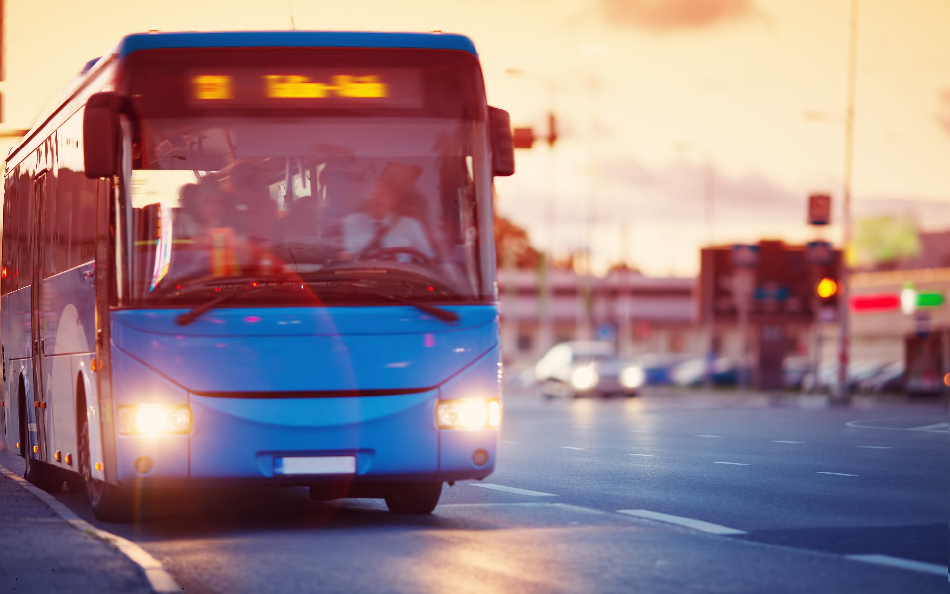 World Bank Senegal Bus